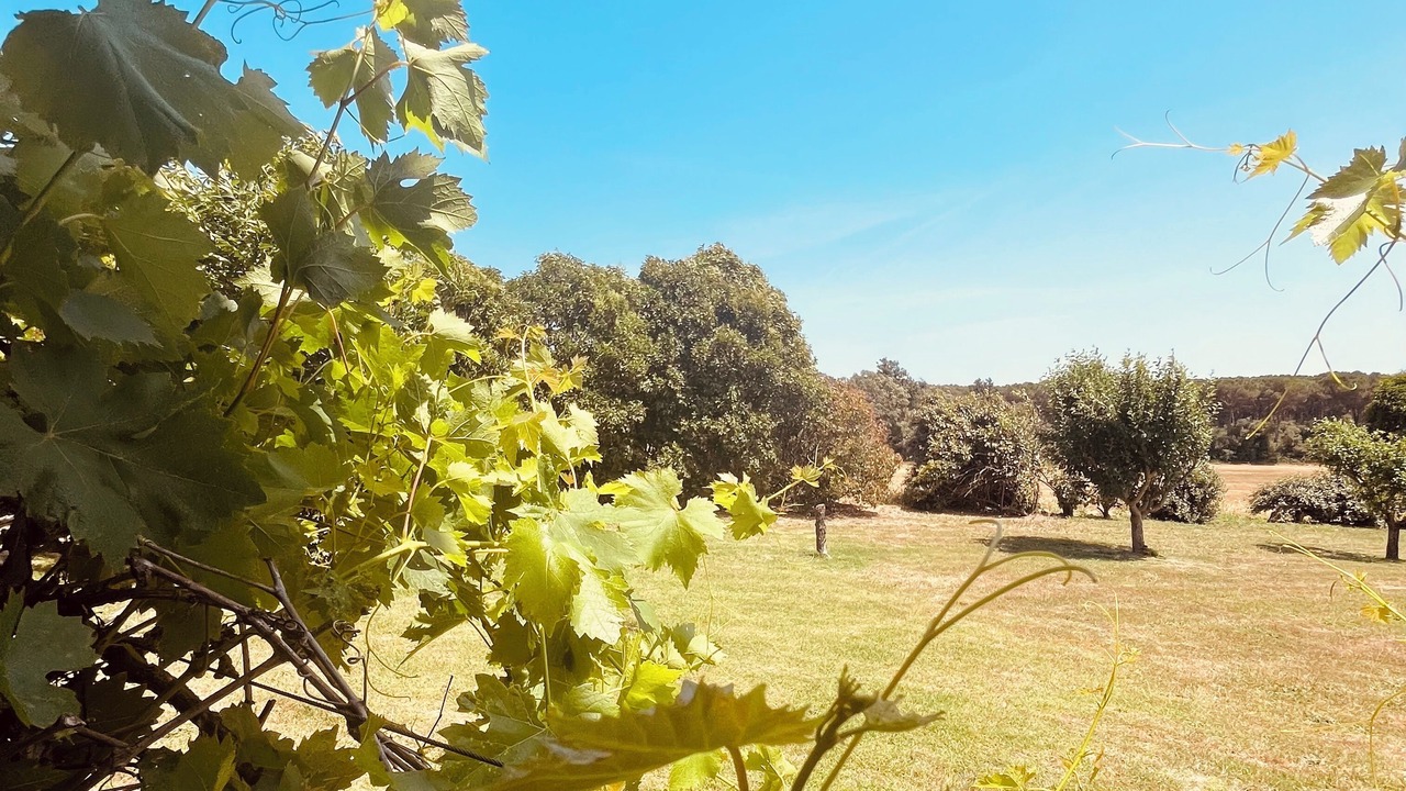 Photo of Outdoor in Caldes de Malavella