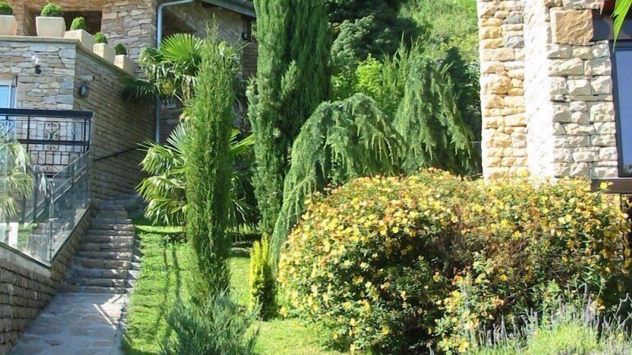 Photo of Outdoor in Miribel