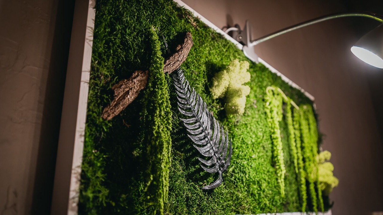 Photo of Bathroom in Miribel