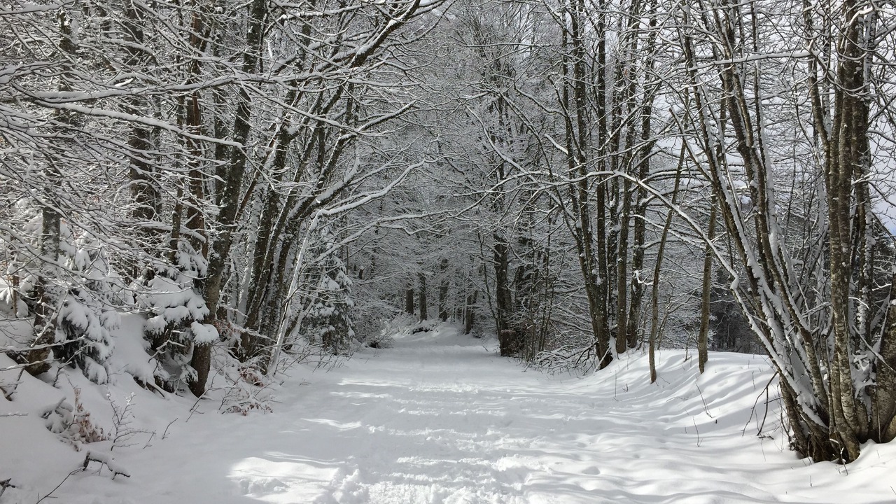 Photo of Others in La Cluse-and-Mijoux