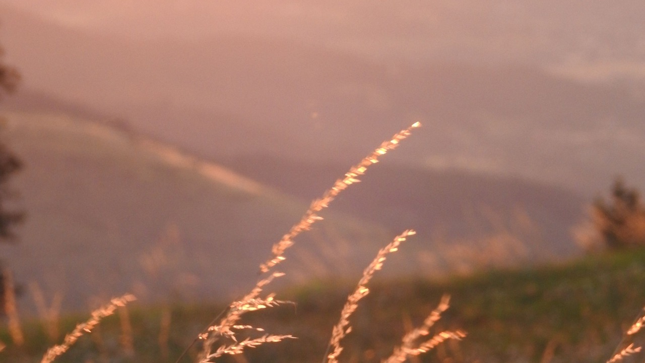 Photo of Outdoor in Saint-Berain