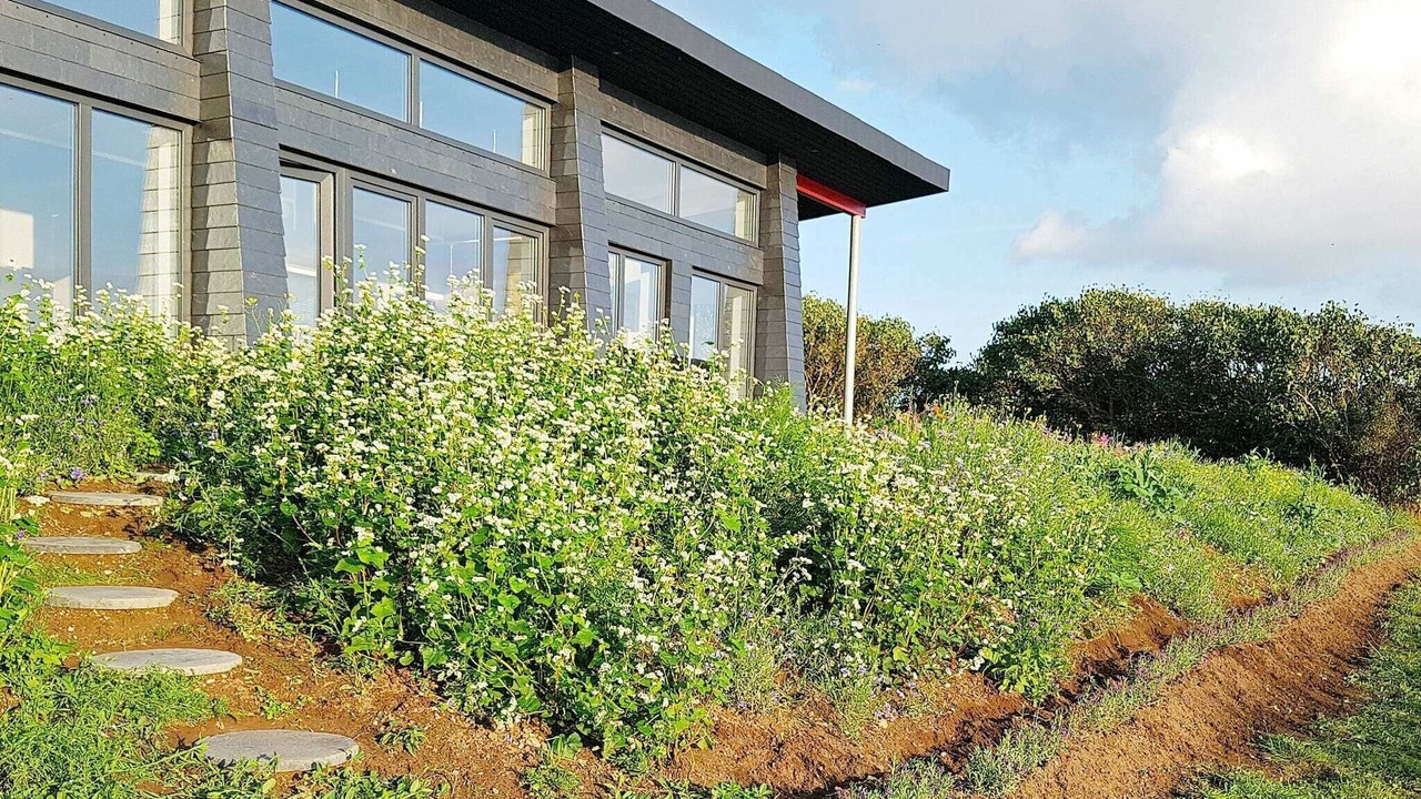 Photo of Outdoor in Kalundborg