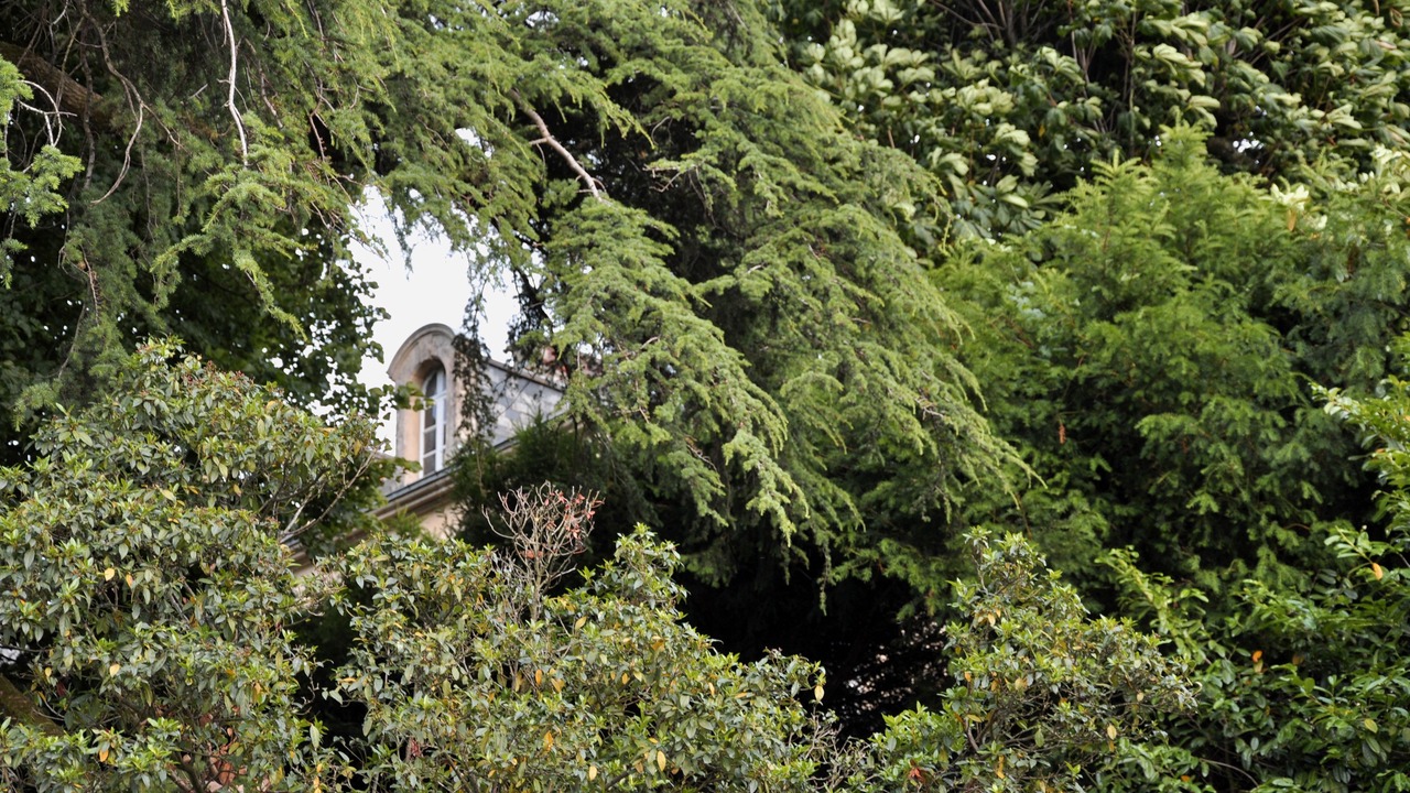 Photo of Outdoor in Breuil-Barret