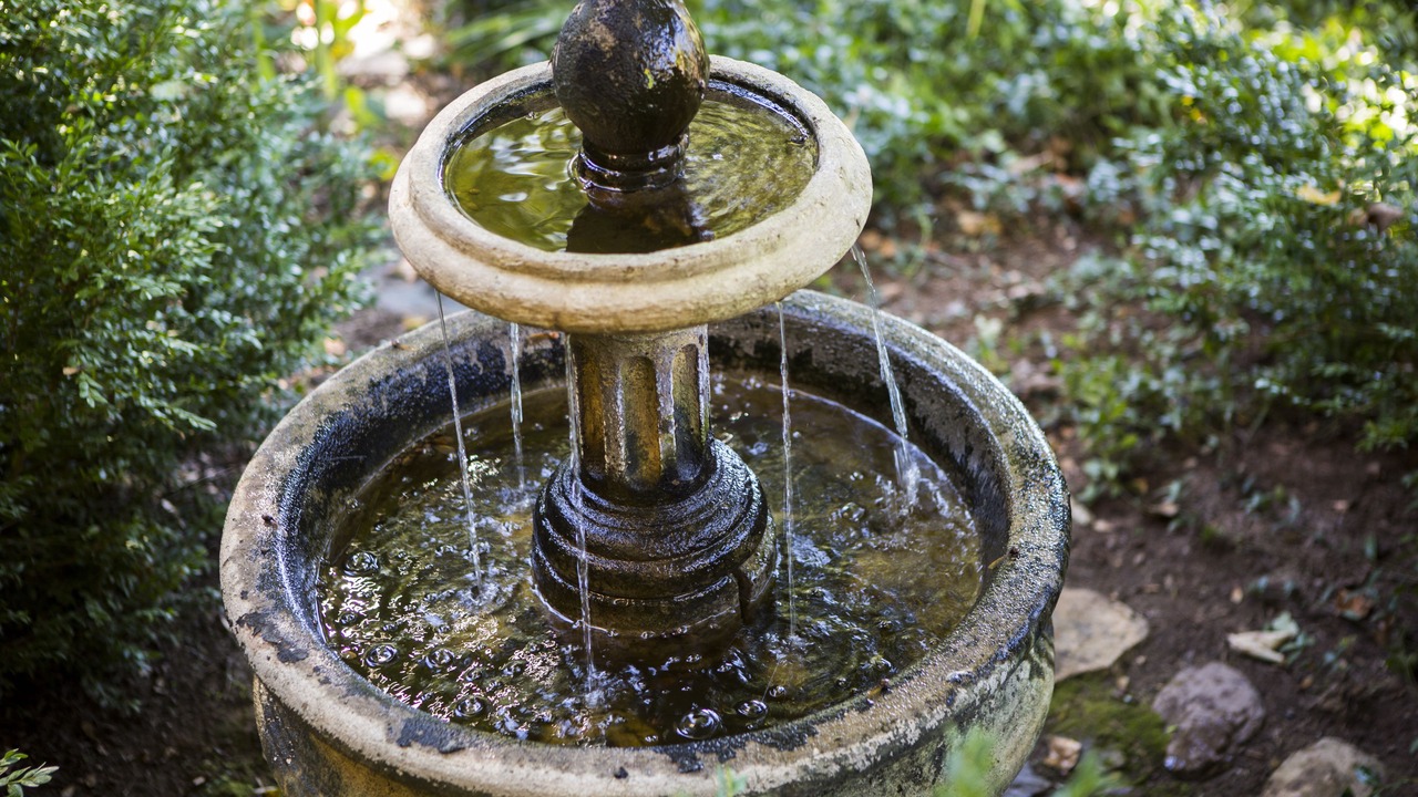 Photo of Outdoor in Washington