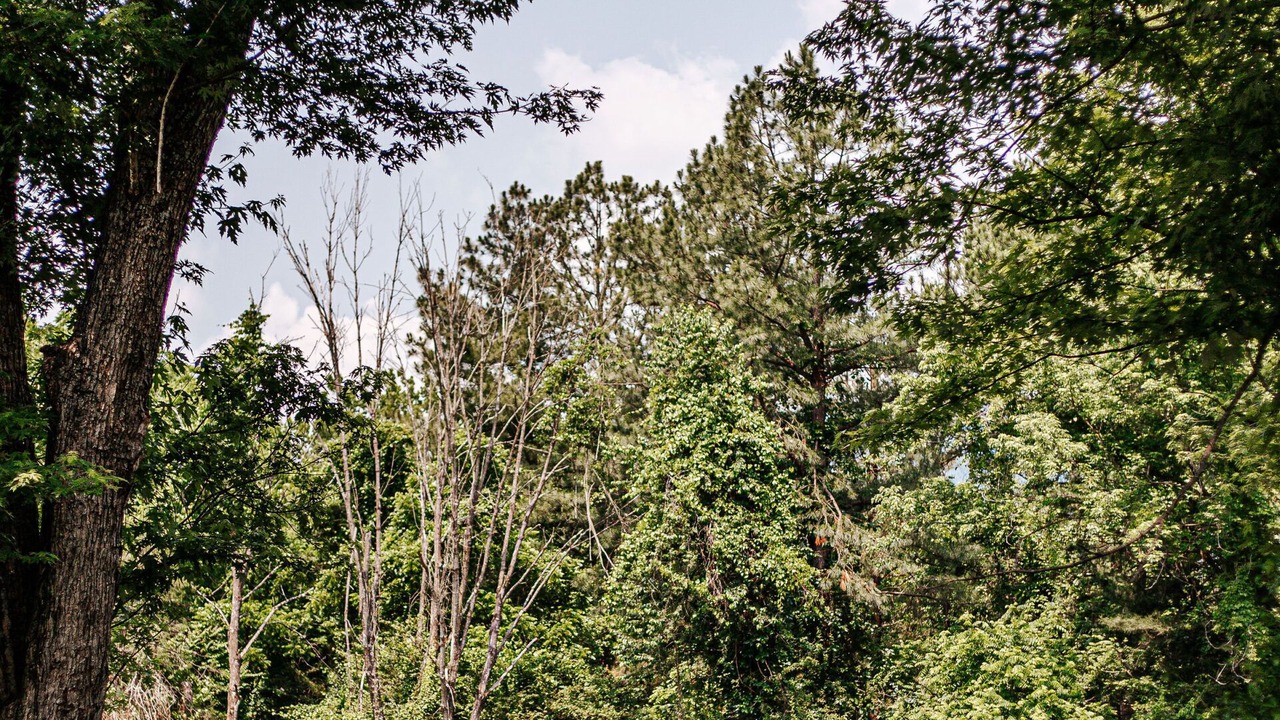 Photo of Outdoor in Afton