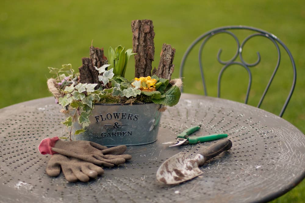 Photo of Outdoor in Vascoeuil