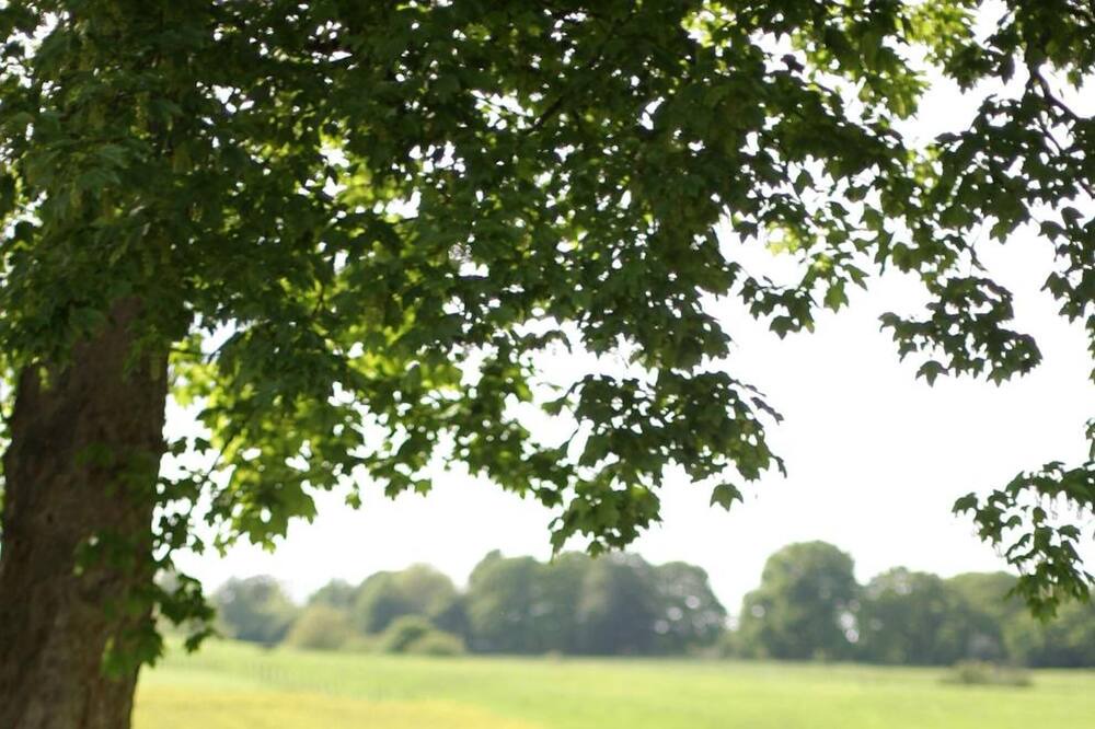 Photo of Outdoor in Vascoeuil