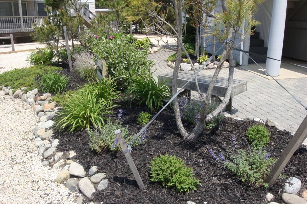 Photo of Outdoor in Harvey Cedars