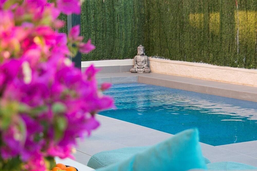 Photo of Outdoor in Rojales