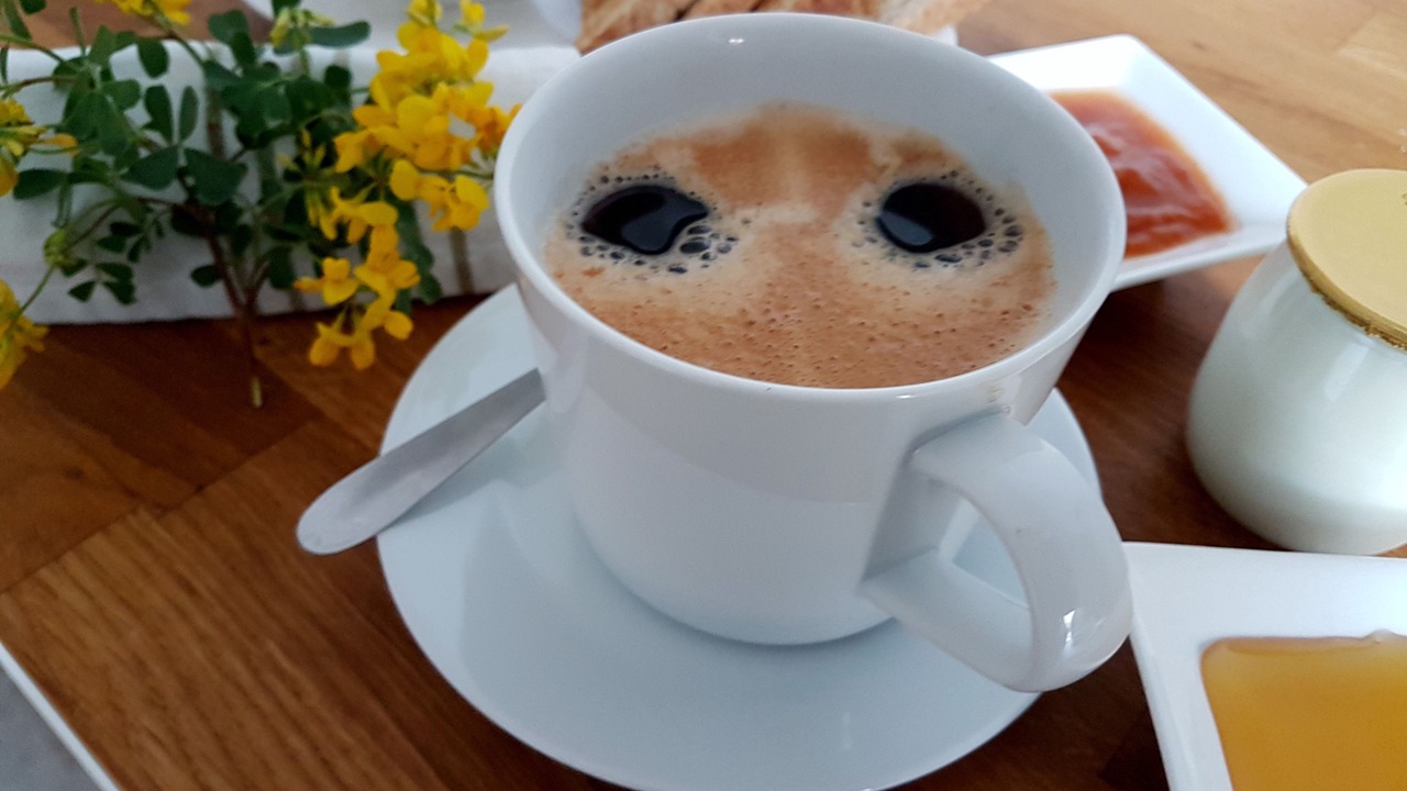 Photo of Others in Gignac