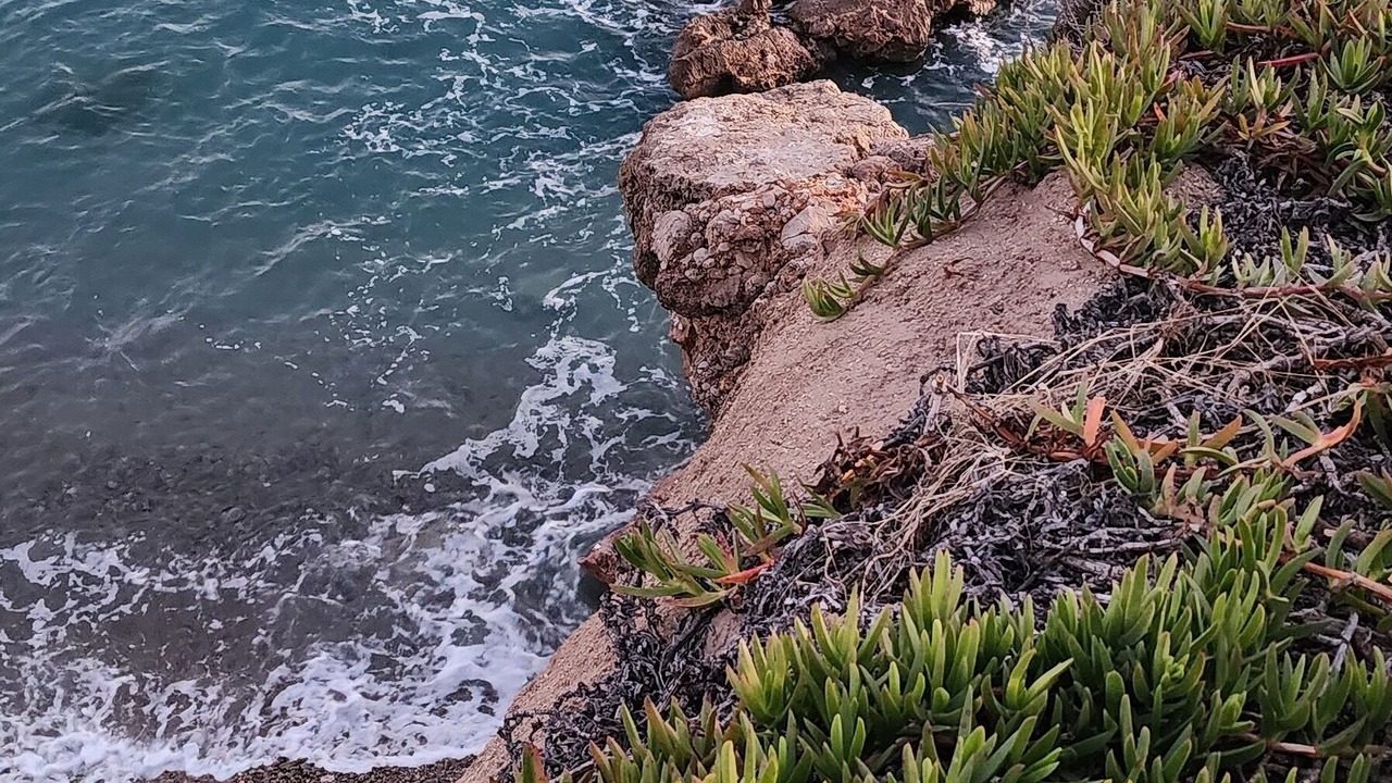 Photo of Others in Gignac