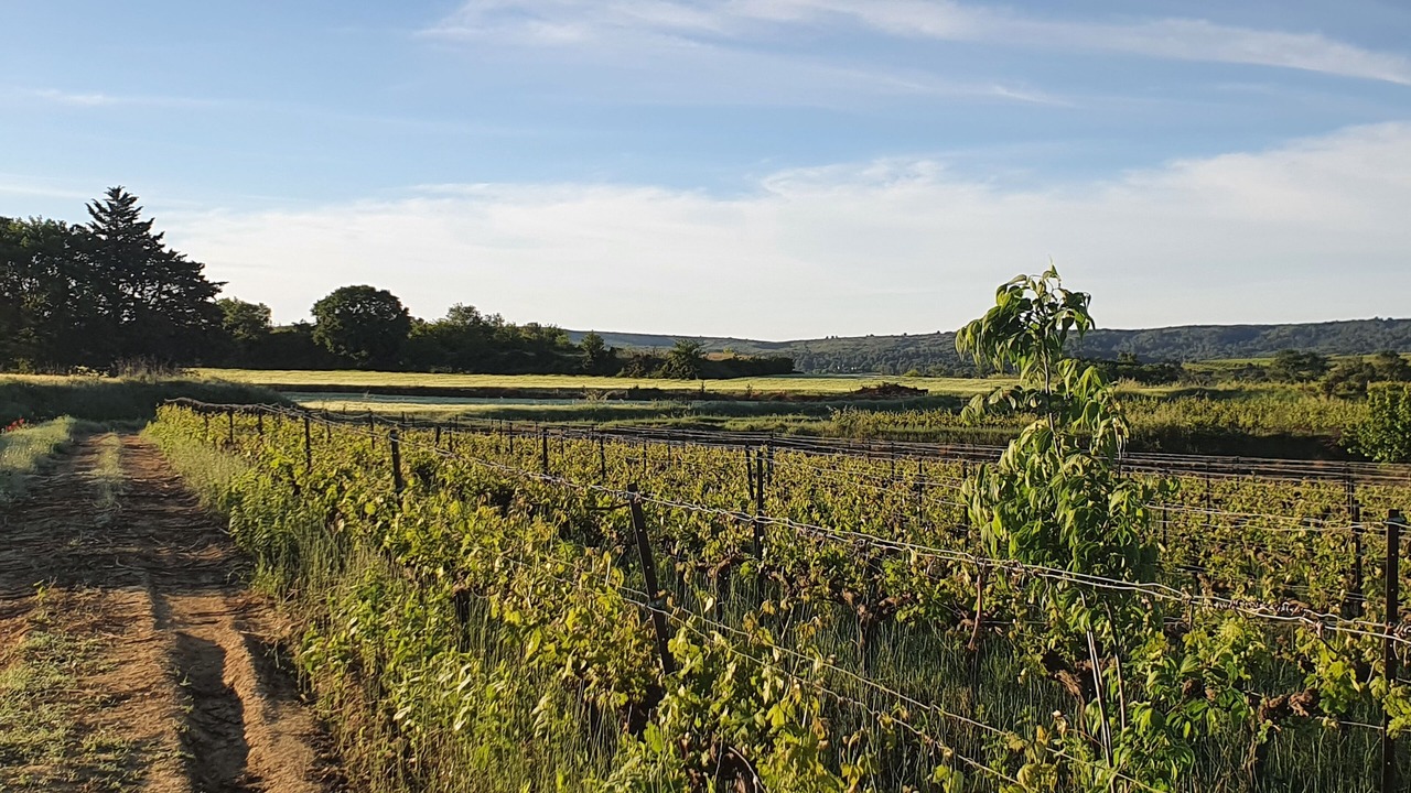 Photo of Outdoor in Gignac