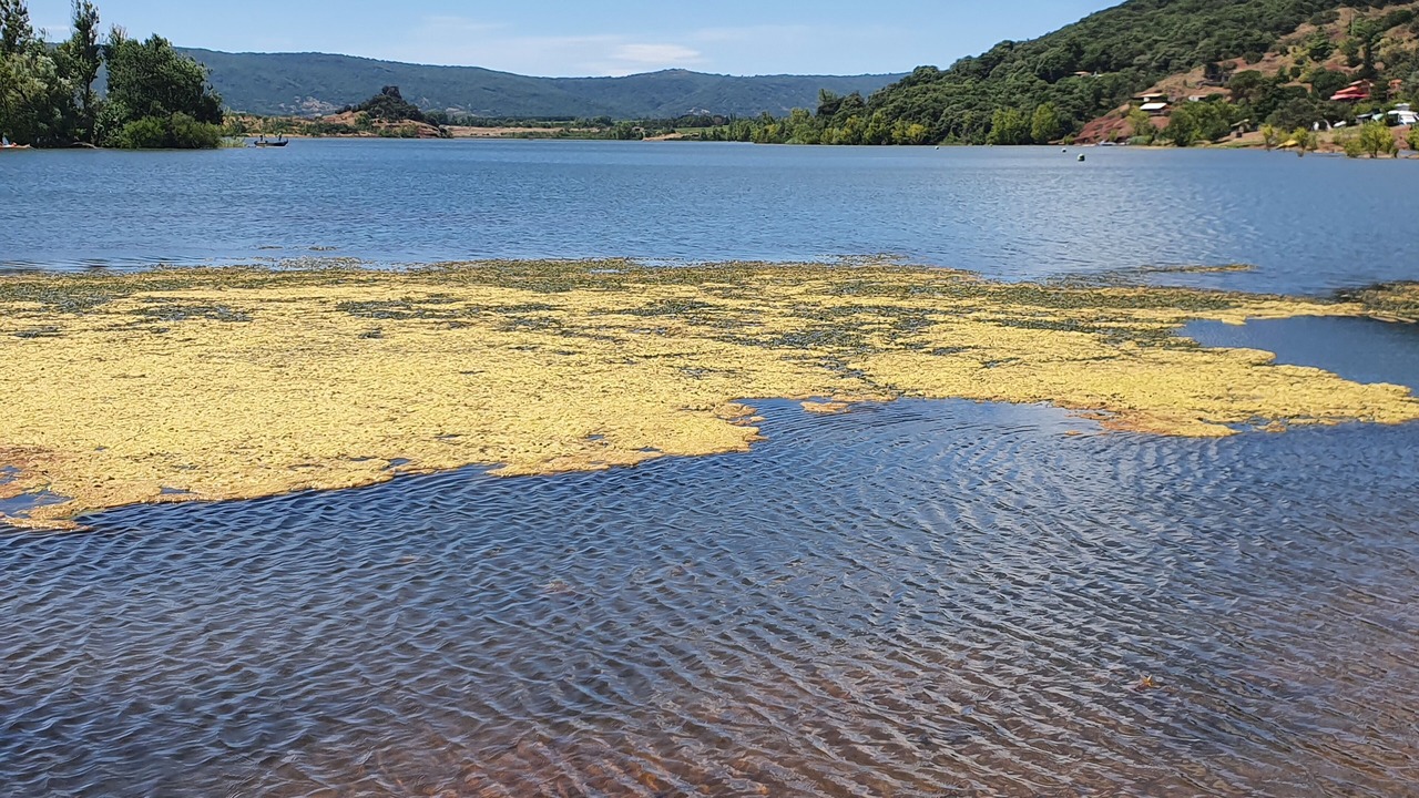 Photo of Others in Gignac