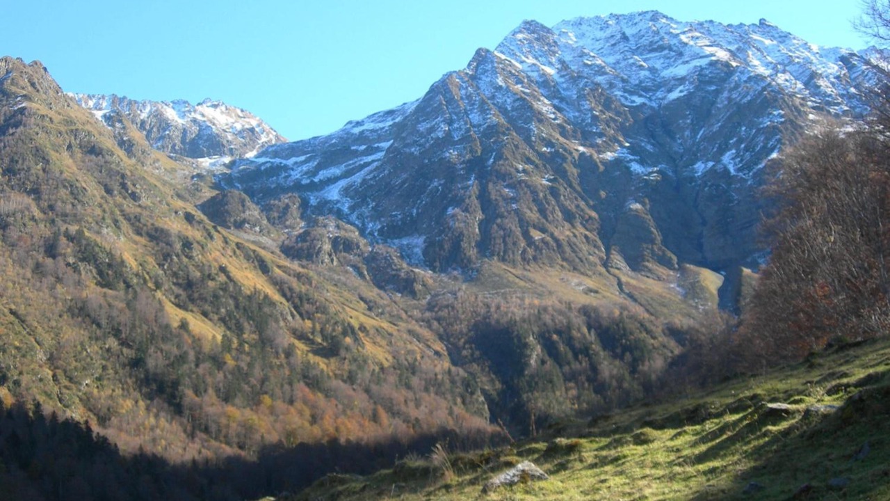 Photo of Others in Aubert