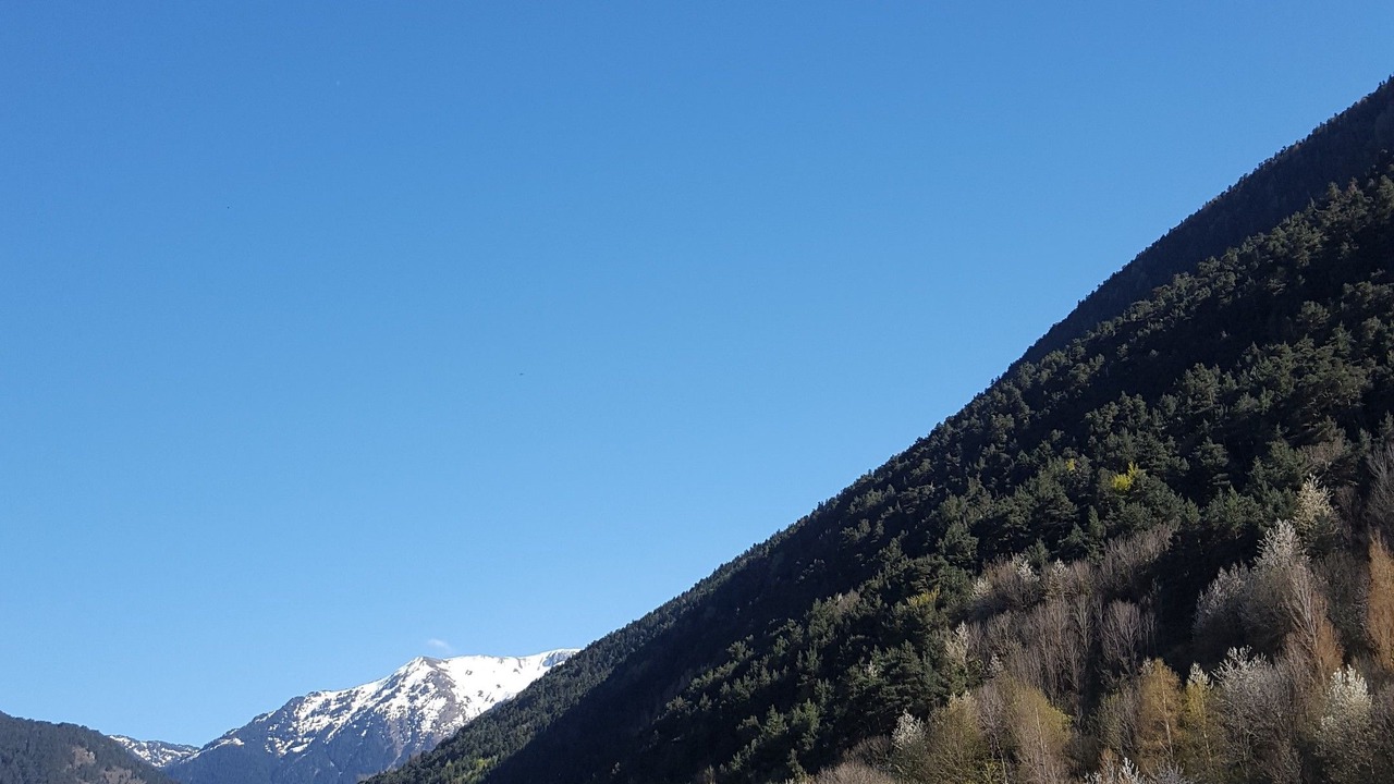 Photo of Others in Aubert