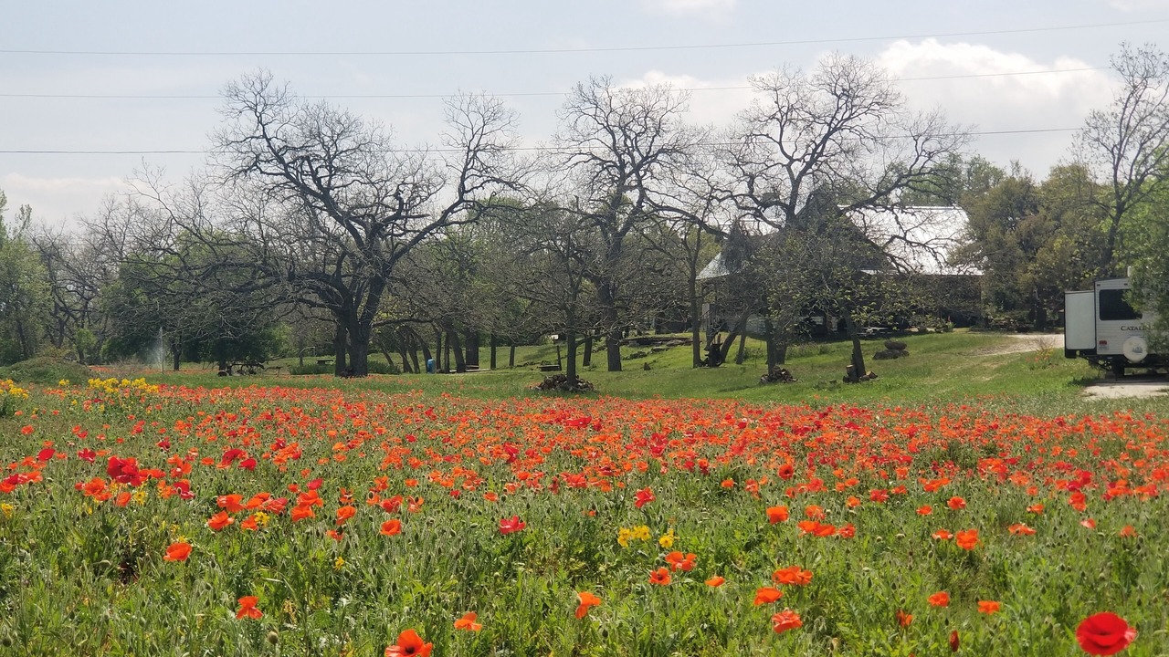 Photo of Outdoor in Blanco