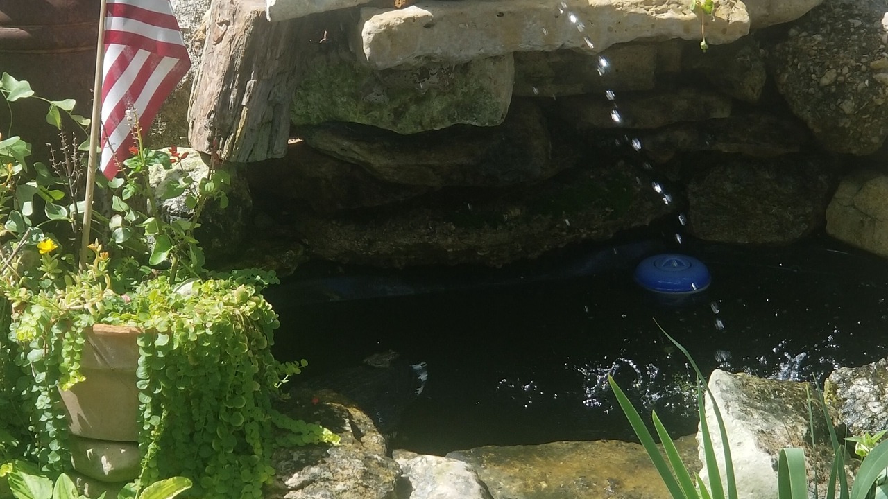 Photo of Outdoor in Blanco
