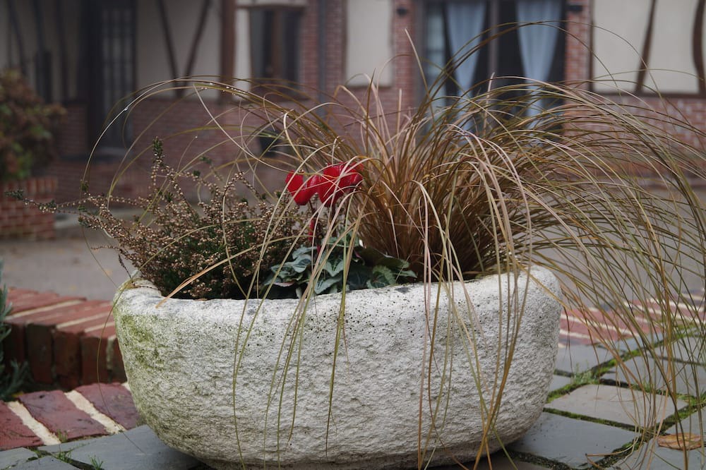 Photo of Outdoor in Coulomby