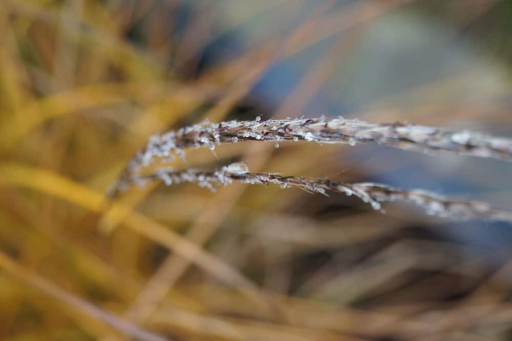 Photo of Outdoor in Coulomby