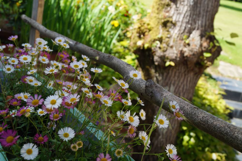 Photo of Outdoor in Coulomby