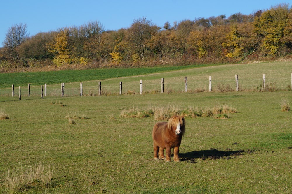 Photo of Outdoor in Coulomby
