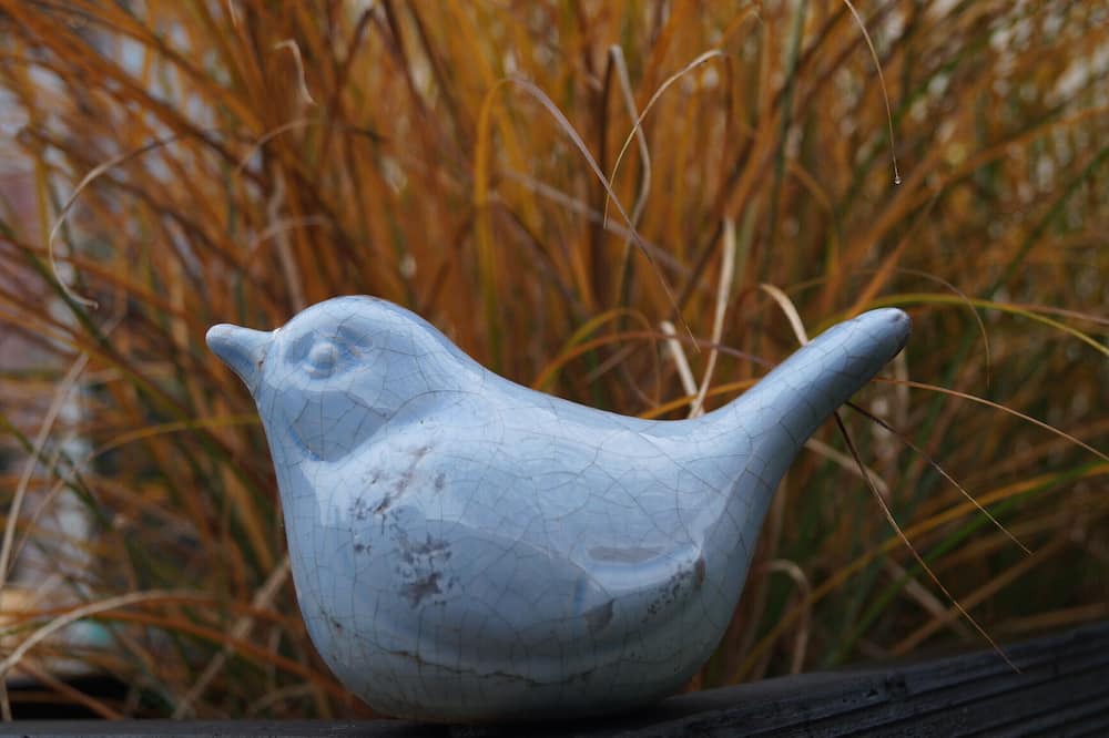 Photo of Outdoor in Coulomby