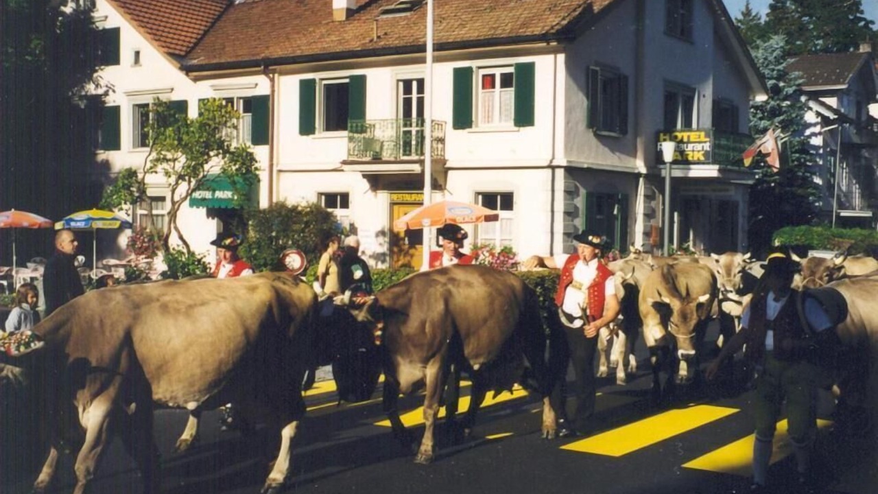 Photo of Outdoor in Heiden