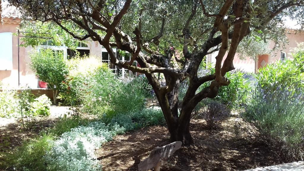 Photo of Outdoor in Les Salles-sur-Verdon