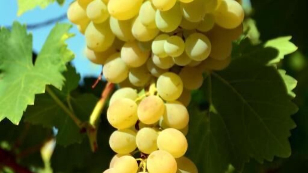 Photo of Others in Les Salles-sur-Verdon