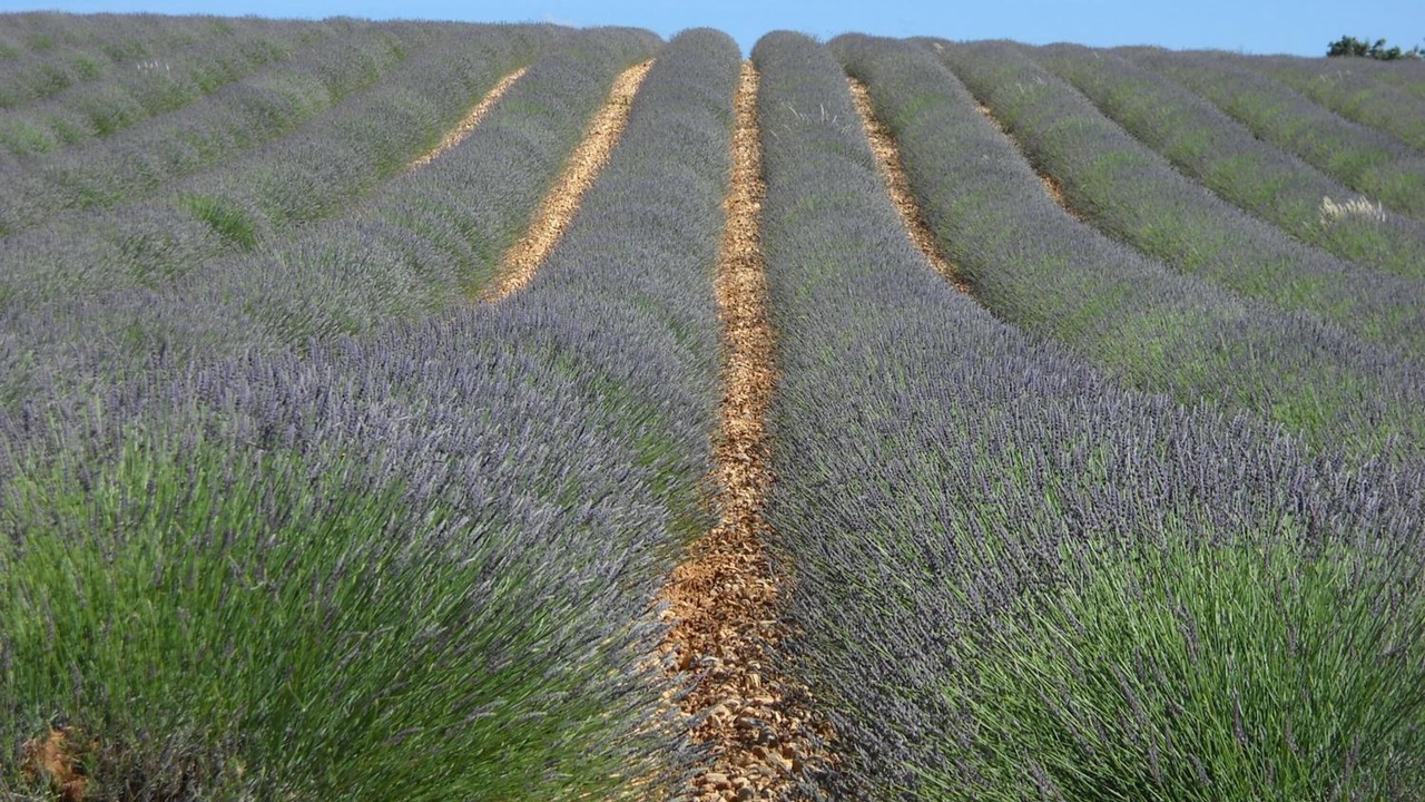 Photo of Outdoor in Les Salles-sur-Verdon