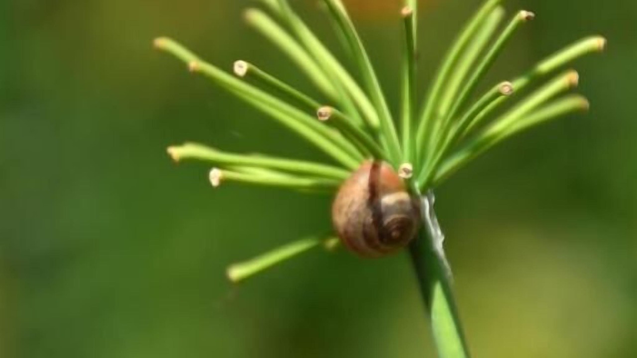 Photo of Outdoor in Les Salles-sur-Verdon