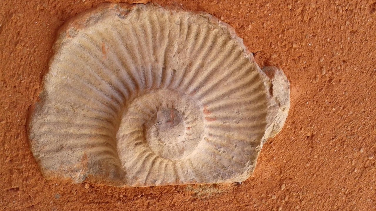 Photo of Others in Les Salles-sur-Verdon