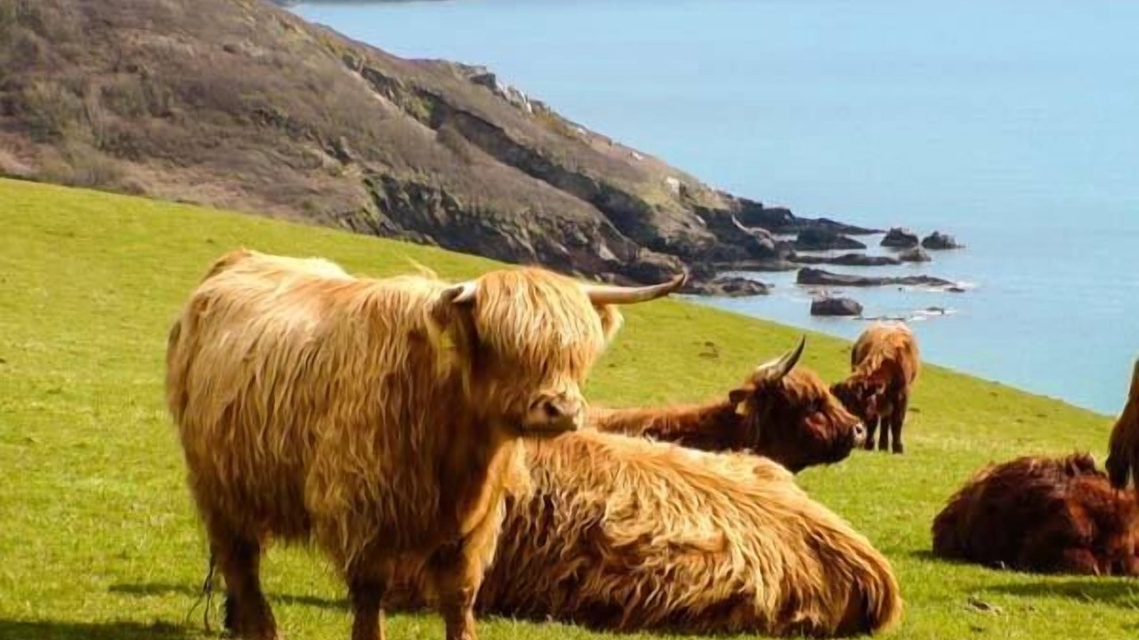 Photo of Others in St. Ann's Chapel