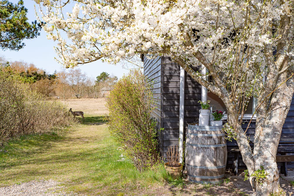 Photo of Outdoor in Sønderstrand