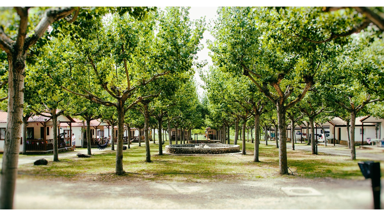 Photo of Outdoor in La Puebla de Roda