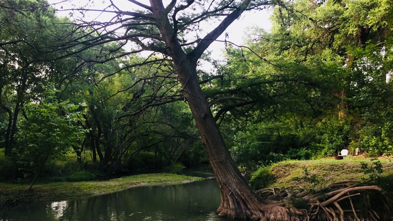 Photo of Outdoor in San Antonio