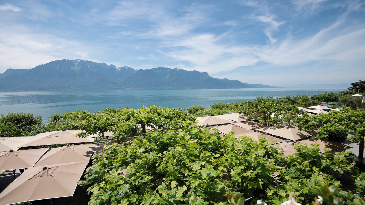 Photo of Others in Vevey