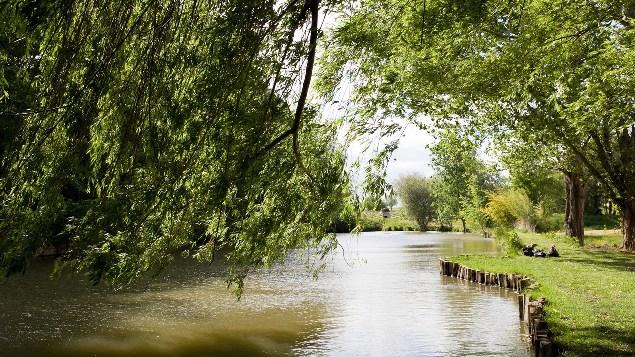 Photo of Outdoor in Lussac