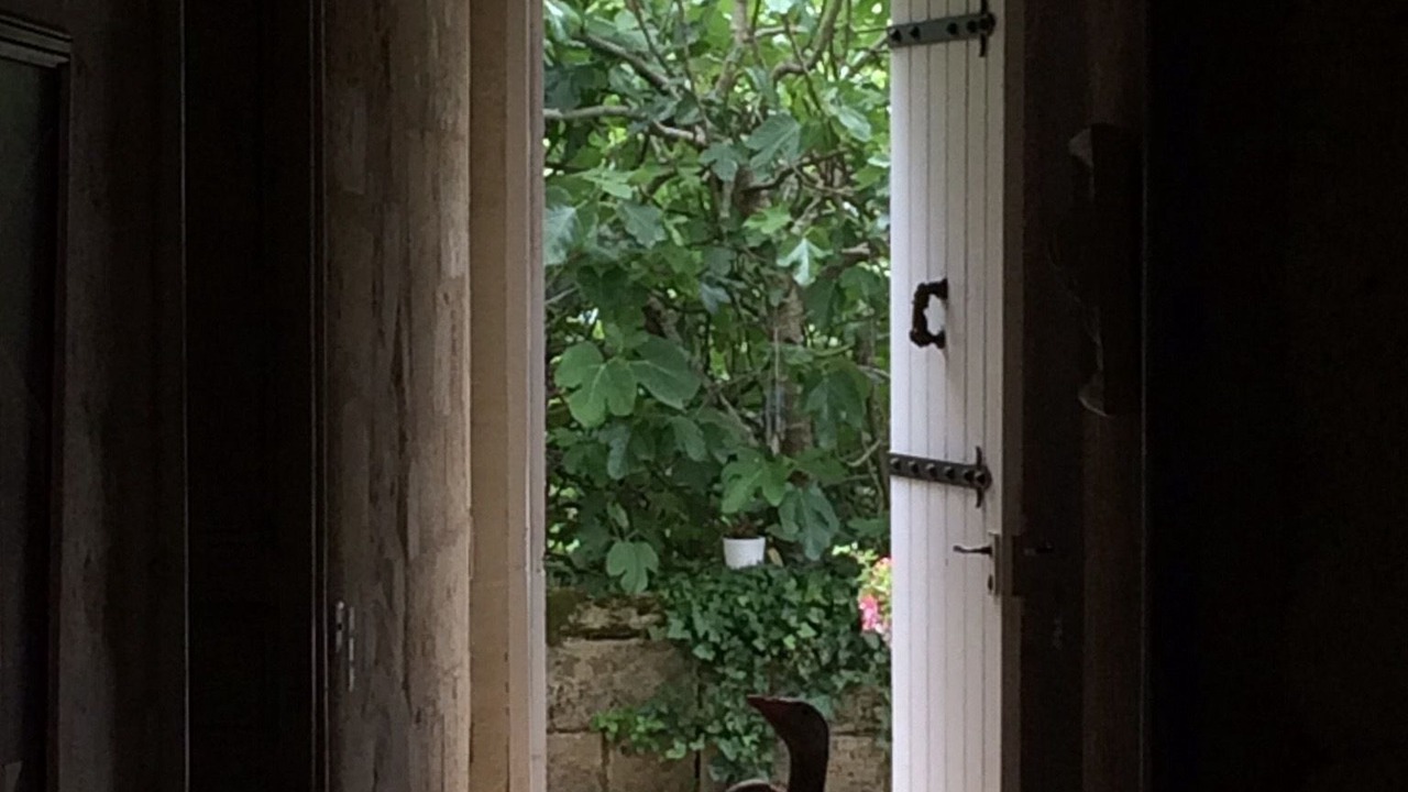 Photo of Outdoor in Lussac