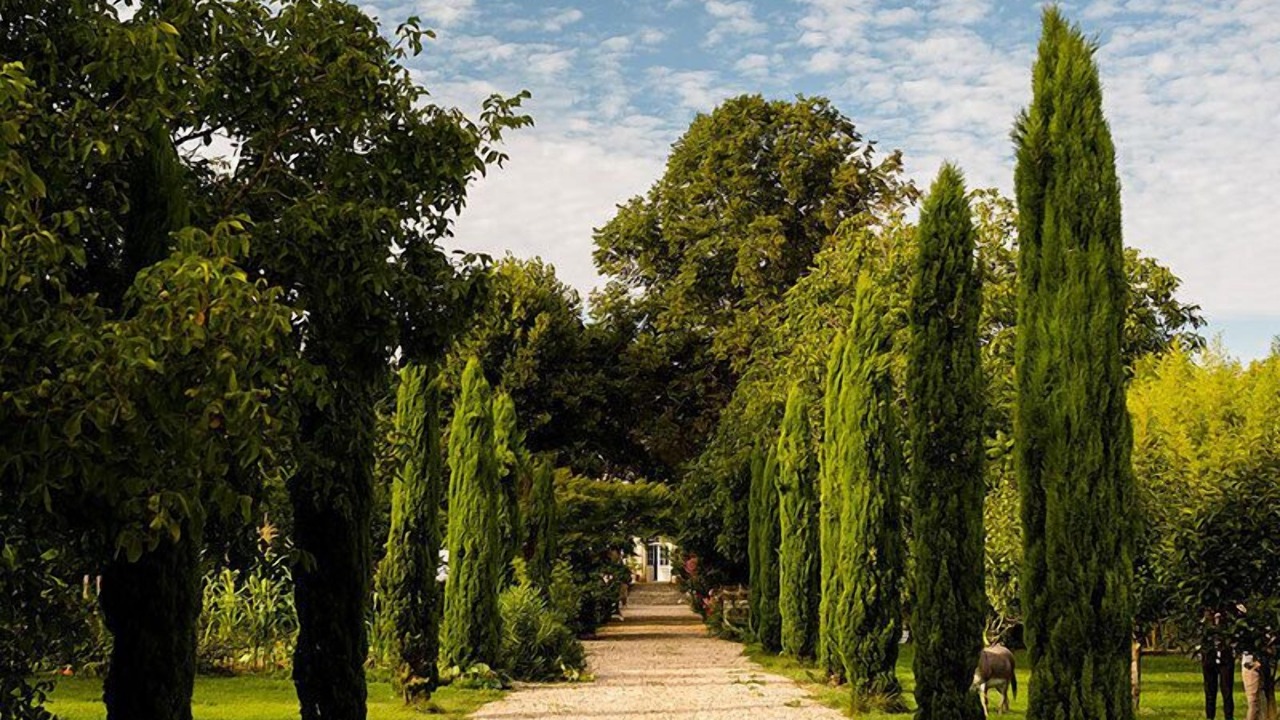 Photo of Outdoor in Lussac