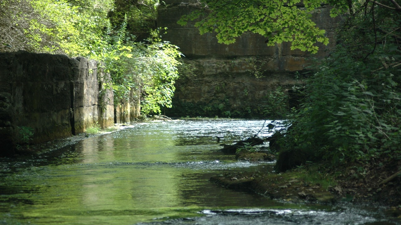 Photo of Outdoor in Mumford