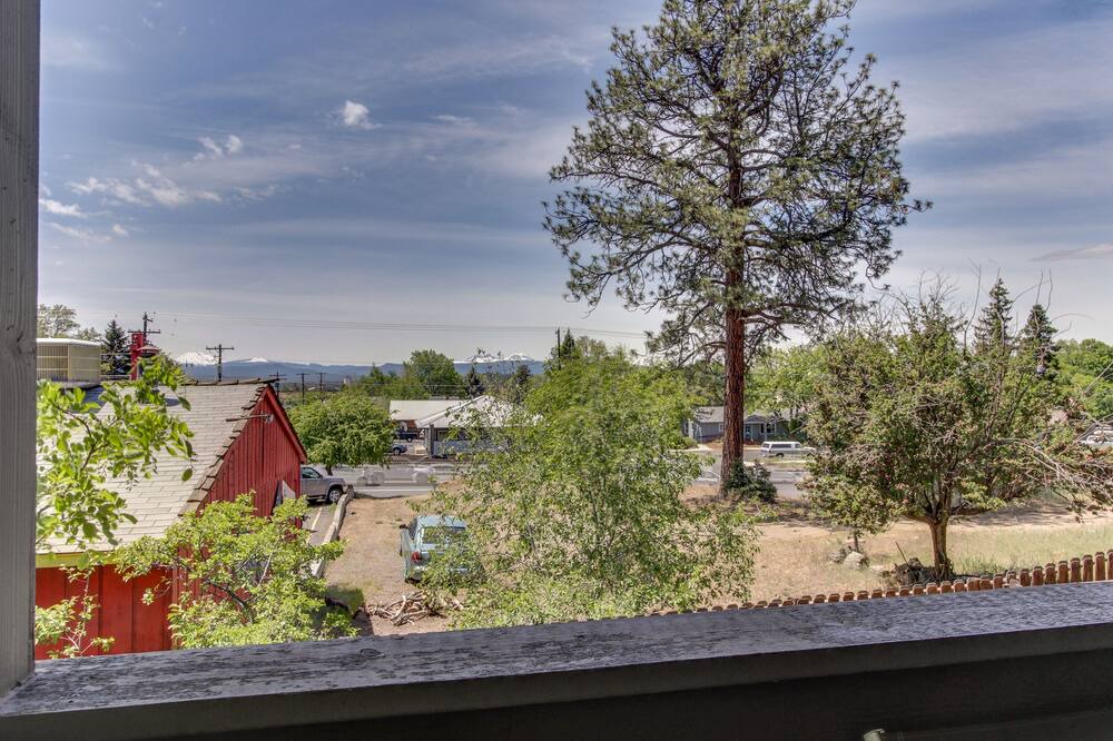 Photo of Others in Larkspur