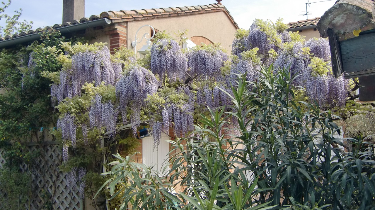 Photo of Outdoor in Lalande-Grand Selve