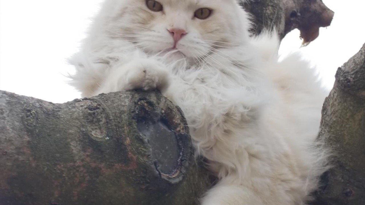 Photo of Others in Lalande-Grand Selve