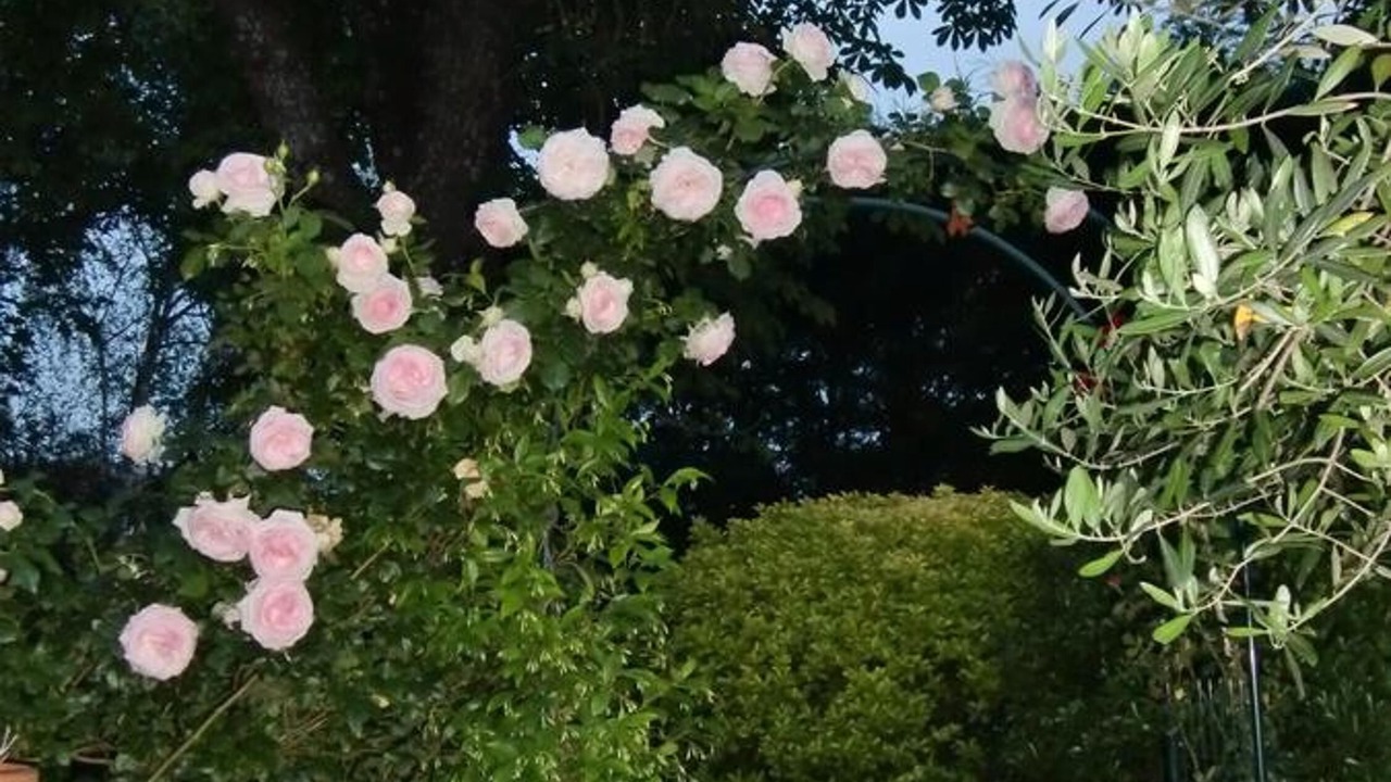 Photo of Outdoor in Lalande-Grand Selve