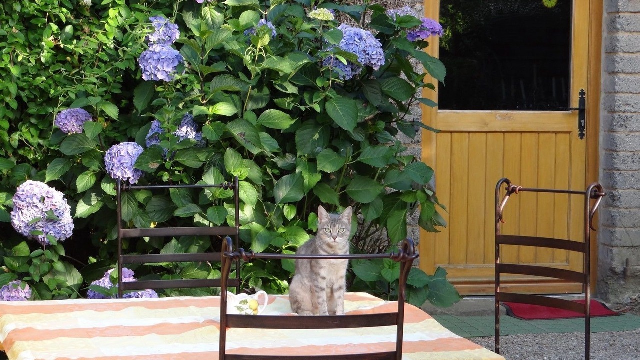 Photo of Others in Gommenec'h