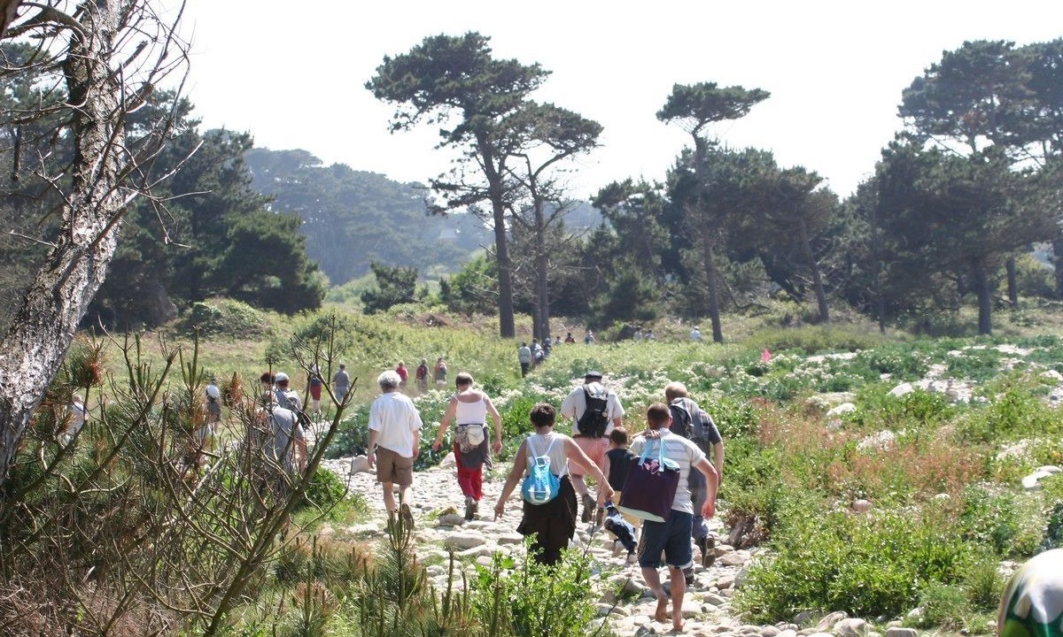 Photo of Outdoor in Gommenec'h