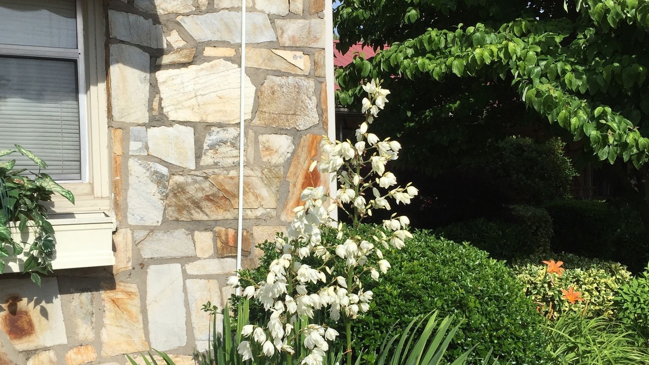 Photo of Outdoor in Robbinsville