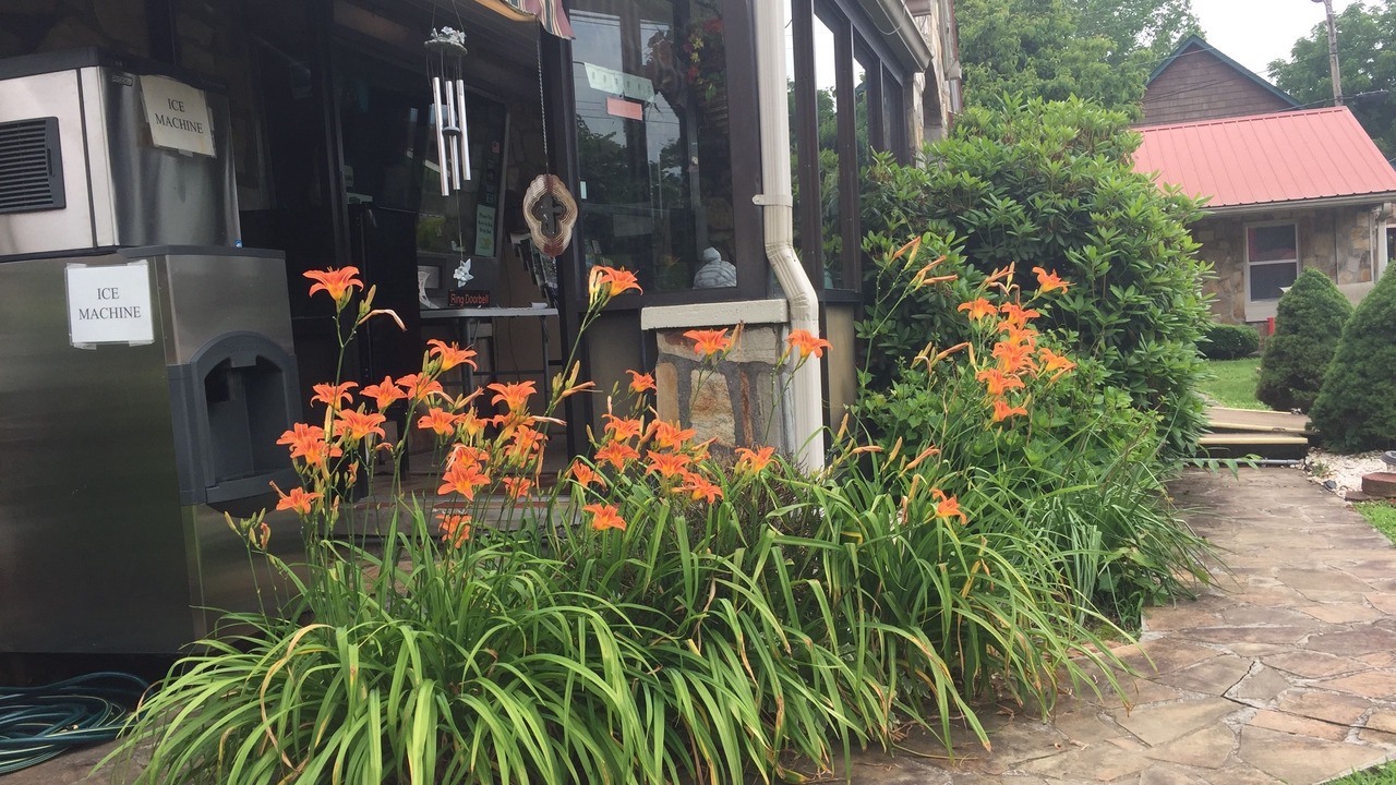 Photo of Outdoor in Robbinsville
