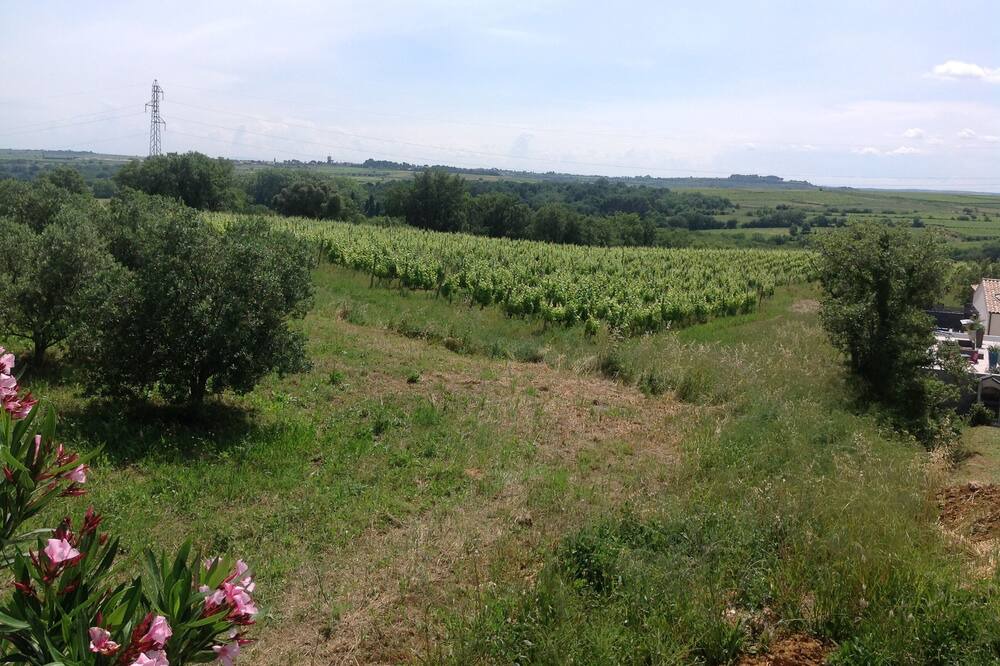 Photo of Outdoor in Magalas